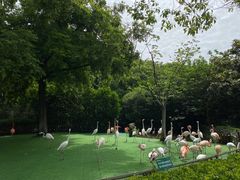 -上海野生动物园