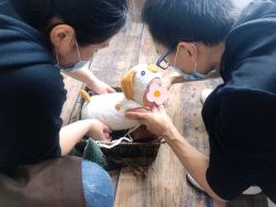 -保丽宝泰母婴护理院·月子中心·产康·中医(常州店)