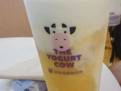 -一只酸奶牛(百联南岸上海城店)