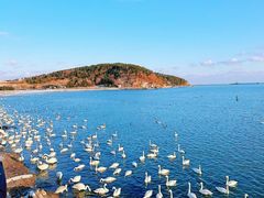 -石岛赤山风景区