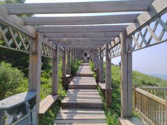 -白草畔自然风景区