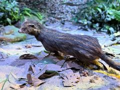 -香港科学馆