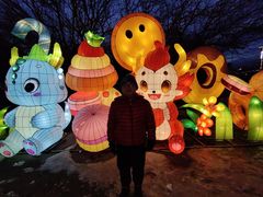 -沈阳奥体冰雪嘉年华