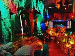 -乐山乌木文化博览苑