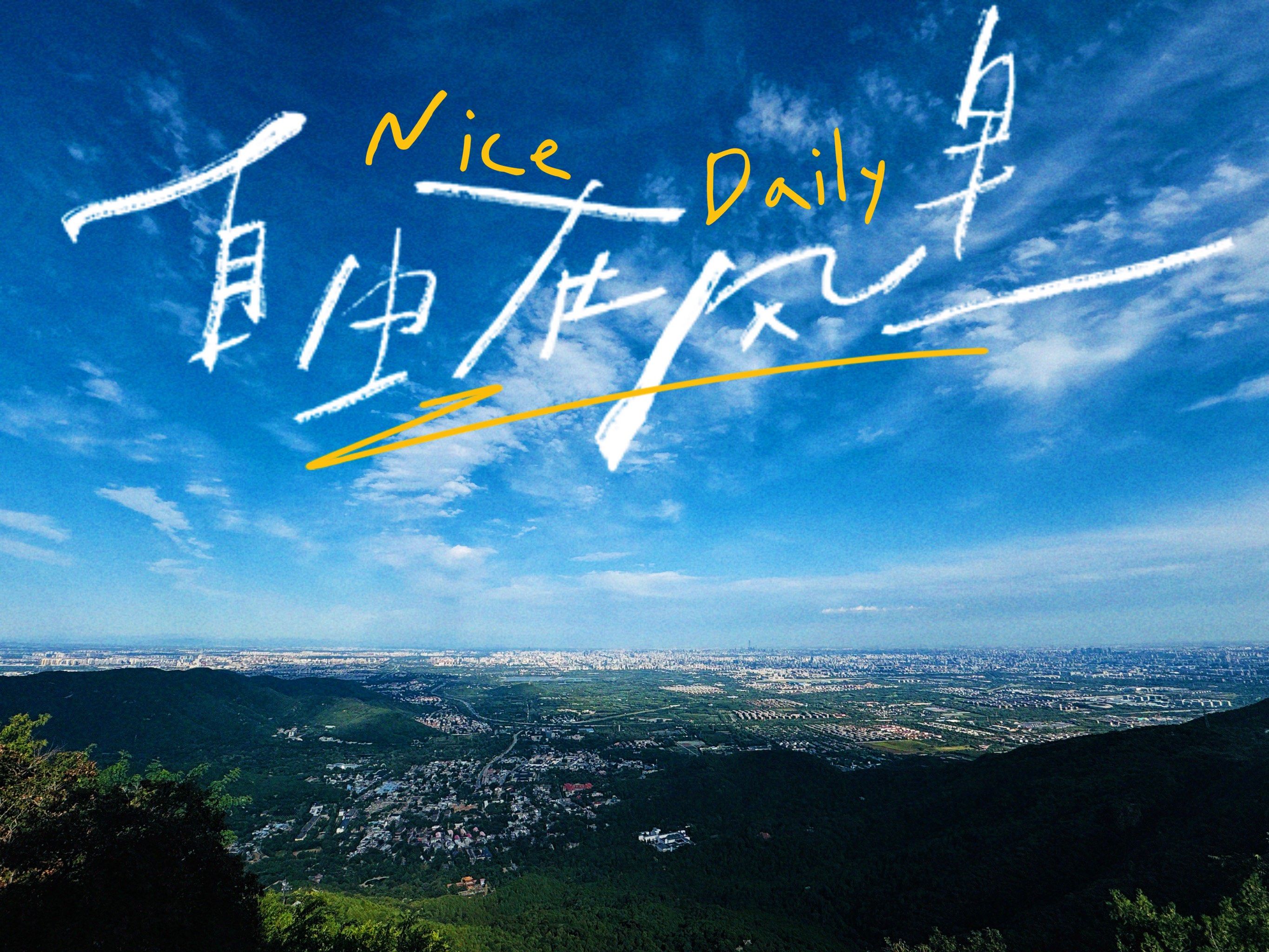 心之所向 素履以往