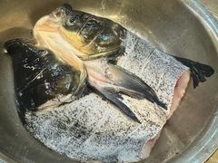 -小团圆灶台鱼·百城头牌菜(千岛湖店)