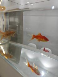 -春田皮肤管理中心品牌旗舰店