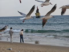 -海云台海滩