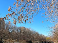 -元大都城垣遗址公园