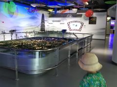 -苏州青少年科技馆