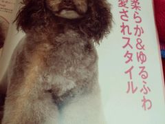 -Oh My Dog宠物沙龙(伊珊娜皮毛护理店)