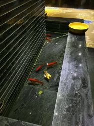 -美满国际月子中心(合生汇店)