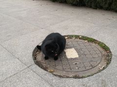 -长安大学(北校区)