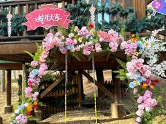 -洛阳白云山景区