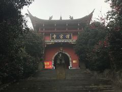 -铁山坪森林公园