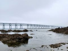 -黑石礁公园