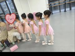 -中央芭蕾舞团·中芭艺蕾(酒仙桥明星校区)