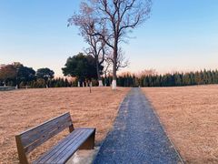 -汉长安城未央宫国家考古遗址公园