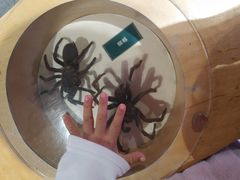 -陕西自然博物馆