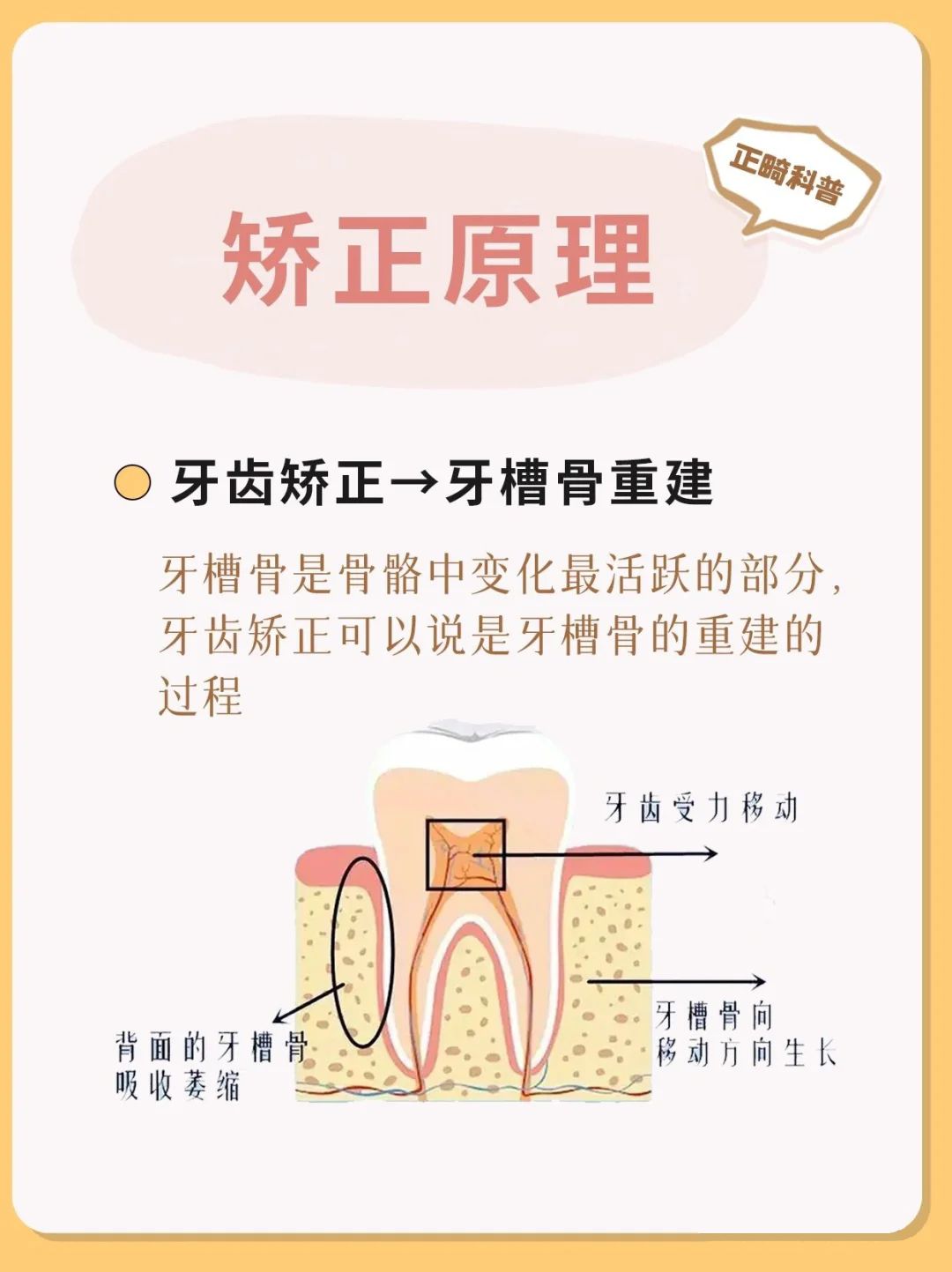 大连口腔健康科普