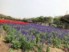 -丹樱生态园