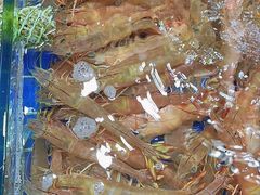 -四川小胡子海鲜(丁村万人海鲜广场店)