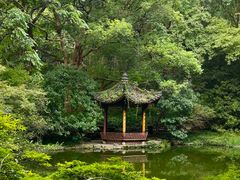 -杭州植物园