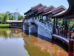 -西海子公园