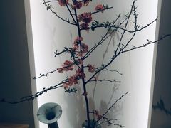 -梅间堂茶馆(绿地缤纷城店)