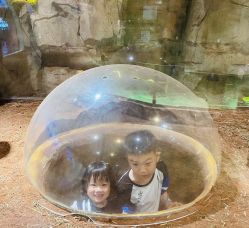 点击看大图 -宝燕乐园(闵行旗舰店)