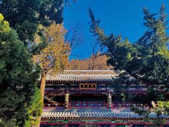 -潭柘寺景区