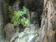 -花间别院(凤凰店)