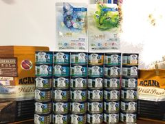 -东方名猫馆·英短金渐层布偶猫舍(环线广场1号楼店)