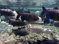 -成都浩海立方海洋公园