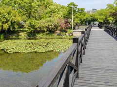-长广溪湿地公园