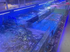 -渔民船说·北塘海鲜·天津菜·海肠捞饭(北塘古镇店)