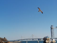 -星海广场