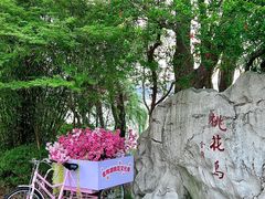 -金鸡湖桃花岛