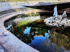 -宝通禅寺