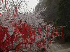-狼牙山风景区