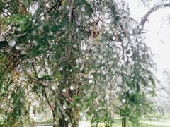 景点-景山公园