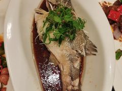 清蒸鲈鱼-亢龙太子酒轩·花园店