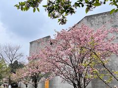 -国际非物质文化遗产博览园