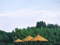 -滨湖塘西河公园