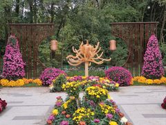 -上海共青森林公园