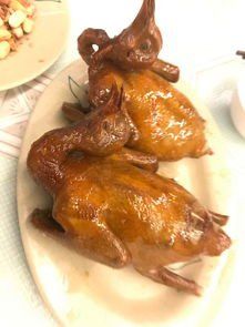 -南粤光明乳鸽(宝安中心店)