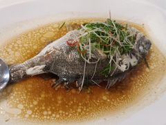 -怀德酒楼·粤菜·海鲜·茶点(宝安国际机场店)