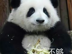 -密友回转自助火锅(世茂国际广场店)