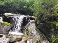 -牛背梁国家森林公园