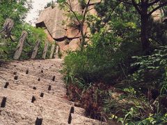 -招虎山国家森林公园-售票处